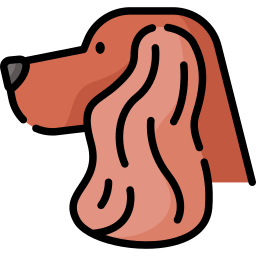 Cocker spaniel icon