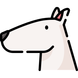 bull terrier icona