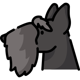 scottish terrier icon