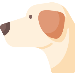 Labrador retriever icon