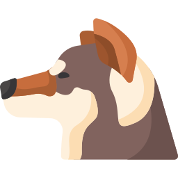 四国犬 icon