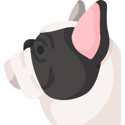 bulldog francês Ícone