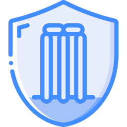 Shield icon