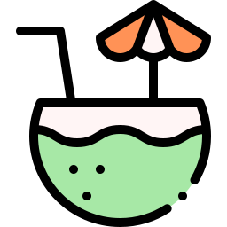 Coconut drink icon