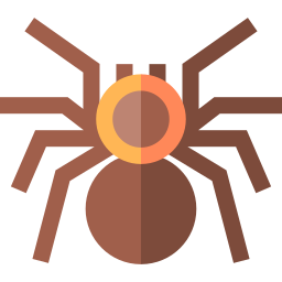 tarantula icoon