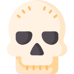 Skull icon