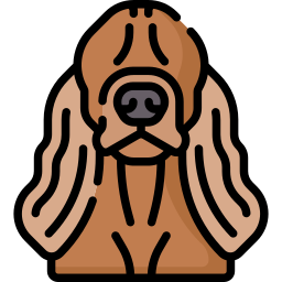cocker spaniel icon
