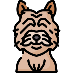 Cairn terrier icon