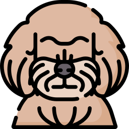 pies boloński ikona
