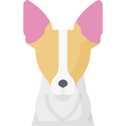 fox terrier Ícone