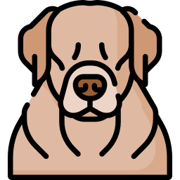 Labrador retriever icon