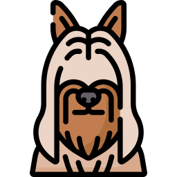 Silky terrier icon