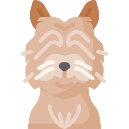Cairn terrier icon
