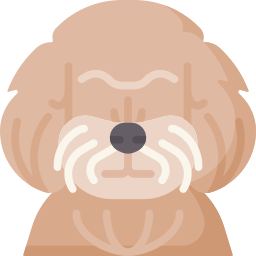 pies boloński ikona