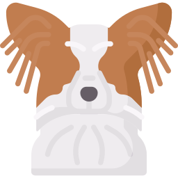 papillon icon