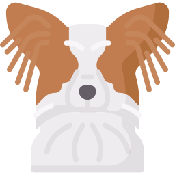 Papillon icon