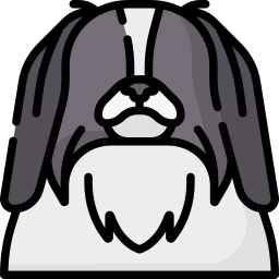 barbilla japonesa icono