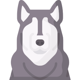 malamute uit alaska icoon