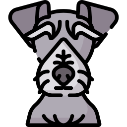 terrier bohemio icono