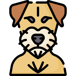 border terrier icon