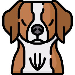 perro bretaña icono