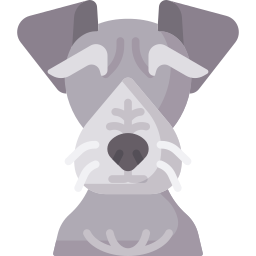 Bohemian terrier icon