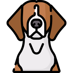 American foxhound icon