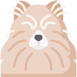 Pomeranian icon