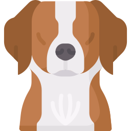 chien breton Icône