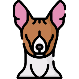 basenji Icône