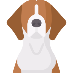 foxhound americano icono