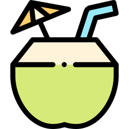 Coconut drink icon