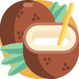 Coconut drink icon