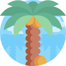 Palm tree icon