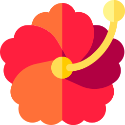 hibiscus icoon