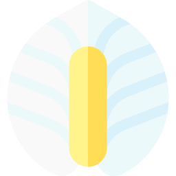 平和のユリ icon