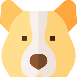 corgi icono