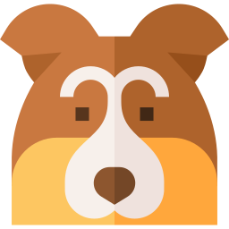 chien de berger shetland Icône
