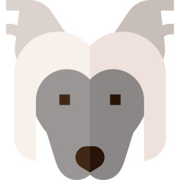 Chinese crested icon