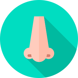 Nose icon