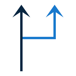 Bifurcation icon