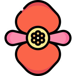 begonia icono