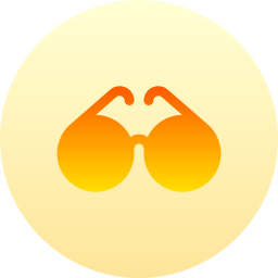 Eyeglass icon