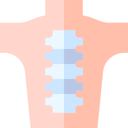 spina dorsale icona