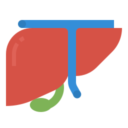 Liver icon