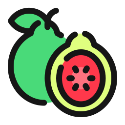 Guava icon