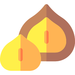 macadamia noot icoon