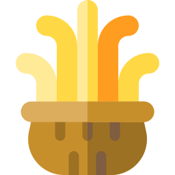 anemone icona