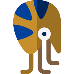 nautilus icona