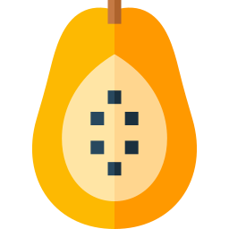 파파야 icon